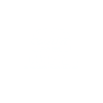 Dulmi